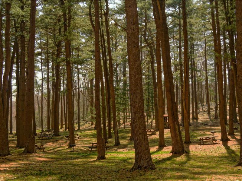 sudoku number puzzle screenshot 6